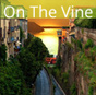 On The Vine