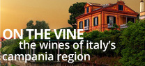 teaser_onthevine